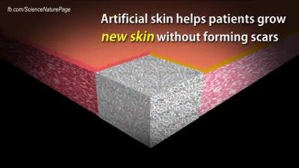skin is saving Artificialy