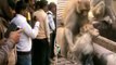 A monkey saved the life of another monkey who fell unconscious after being electrocuted
