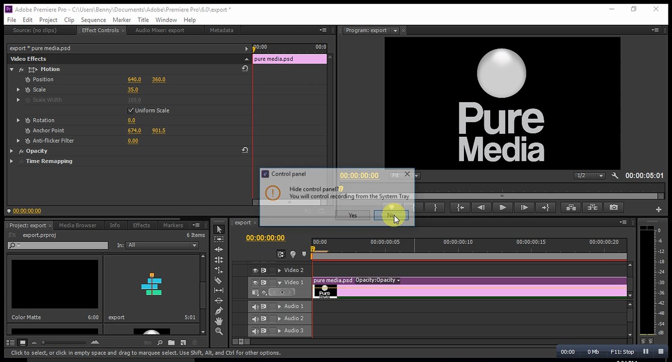 When export is grey