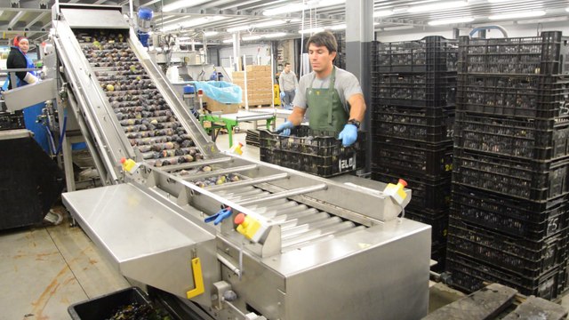 Visite CopSolFruit Sollies Pont Oct 2016 - Video Travelling - 1080p