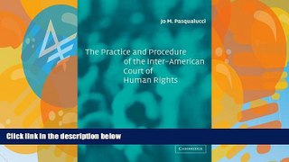 Big Deals  The Practice and Procedure of the Inter-American Court of Human Rights  Best Seller
