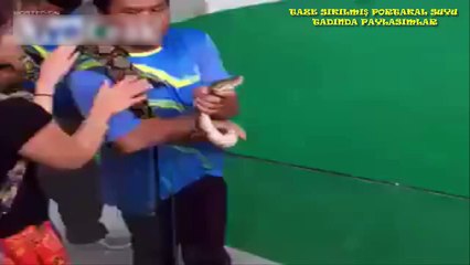 Kız yılanı tam öpecekken yılan kızı öpüyor | HD