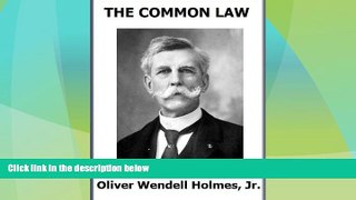 Big Deals  The Common Law (Basic But Correct Edition, Active TOC   Linked Notes)  Full Read Most