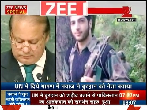 Zinda hay Burhan wani Zinda hay ... Kashmir banay ga Pakistan