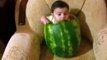 Baby Eating Watermelon From Inside