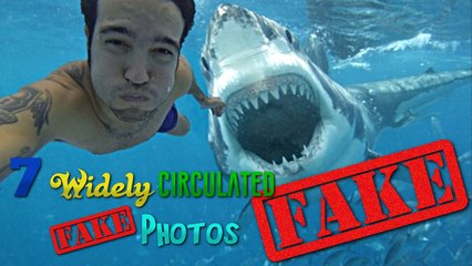 7 Widely Circulated Fake Photos