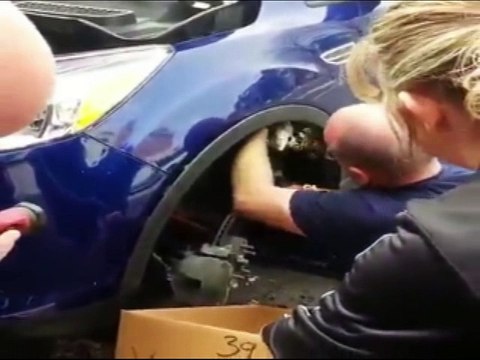 ruidos raros en el coche