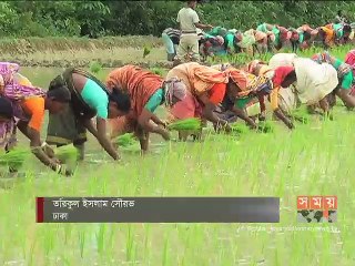 দেশের ৩০ শতাংশ মানুষ সুষম খাদ্য বঞ্চিত