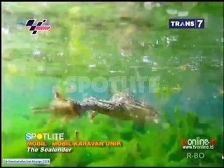 Spotlite - Mobil Karavan Unik