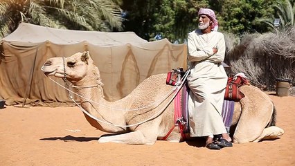 Dubai Fashion Editorial | 2015