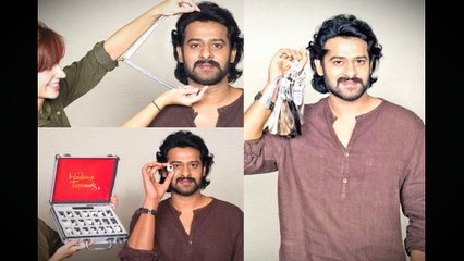 Very expensive cost for Prabhas Statue