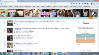 How To Use Reddit Part 2 Urdu/Hindi Tutorial