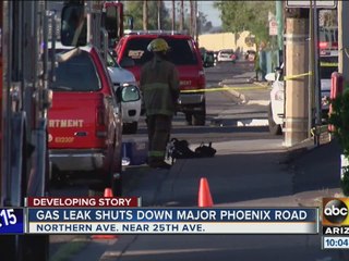 Gas leak shuts down major Phoenix road