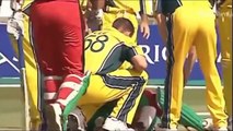 Top 10 Killer Bouncers in Cricket batsman got injured badly