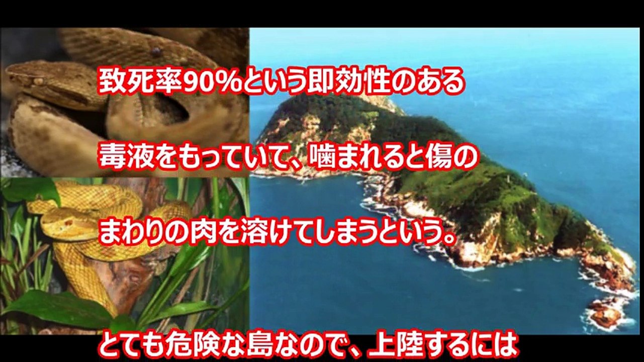 【閲覧注意】地球上に実在するガチで行ってはいけない島