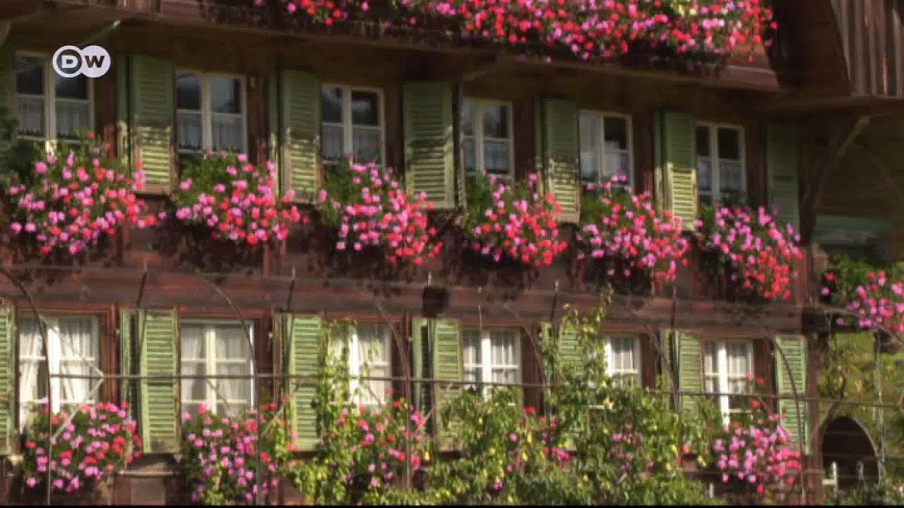 Welterfolg emmentaler käse | euromaxx