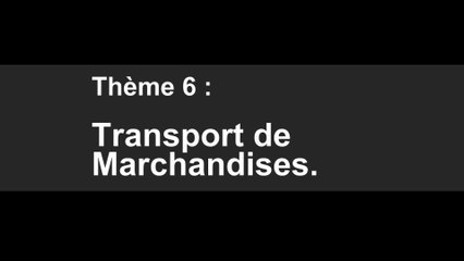 V.C.S. : Porteur Thème 06