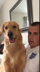 Questo Golden Retriever ha appena saputo che avrà un fratellino. La sua reazione è esilarante