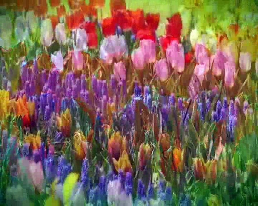 Sibel-Can-Dost-Bildiklerim