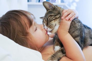 Understanding Your Cat's Affection 🐱