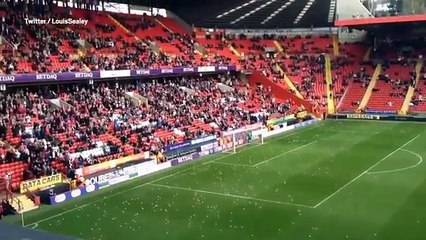 Charlton vs Coventry stopped after plastic pigs thrown on pitch