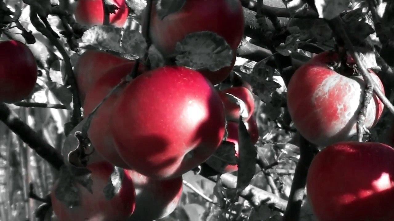 Пред лято | Before the Summer