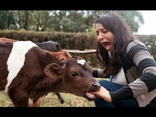 Funny Indian Jugaad Video | Desi Jugaad Video | Epic Pictures #03 June 2016