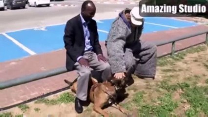 A Properly Trained Dog Could Save Your Life