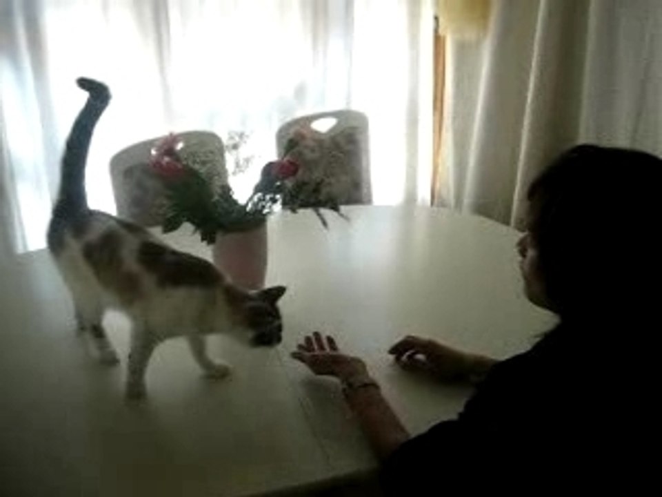 Weekend Fetes Genèves AW 173