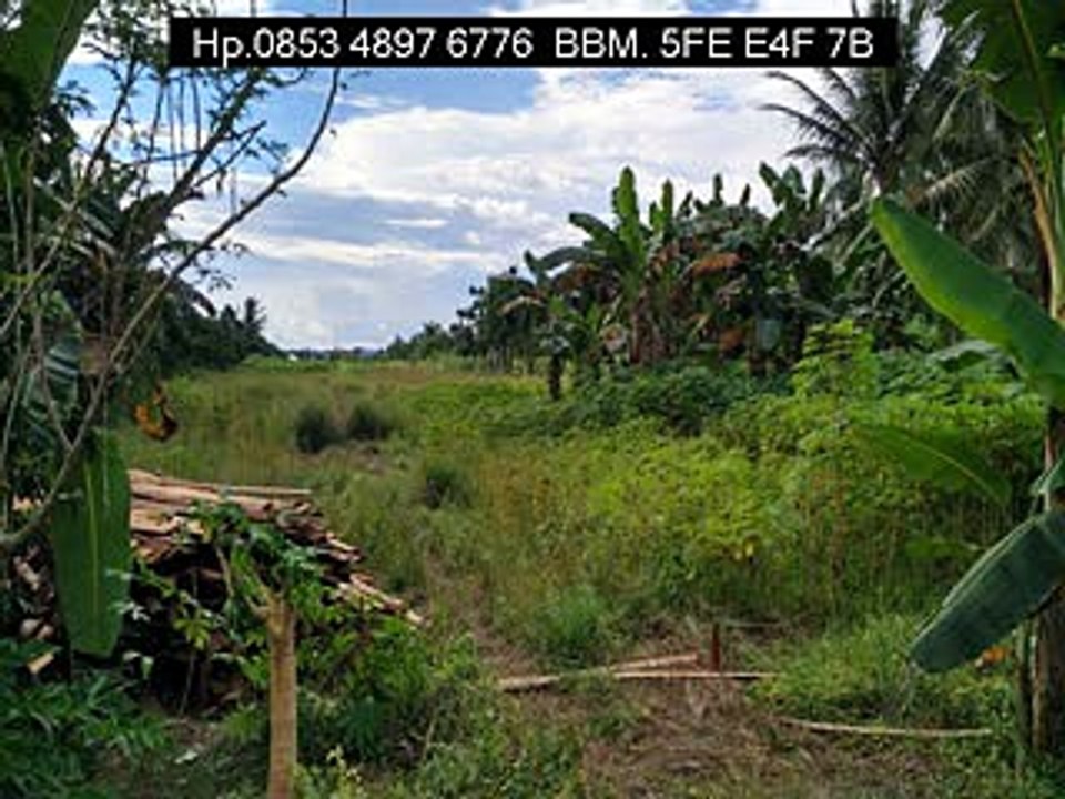 0853 4897 6776, info rumah pontianakJual Rumah Pontianak Kota Baru, Jual Rumah Tipe 36 Di Pontianak