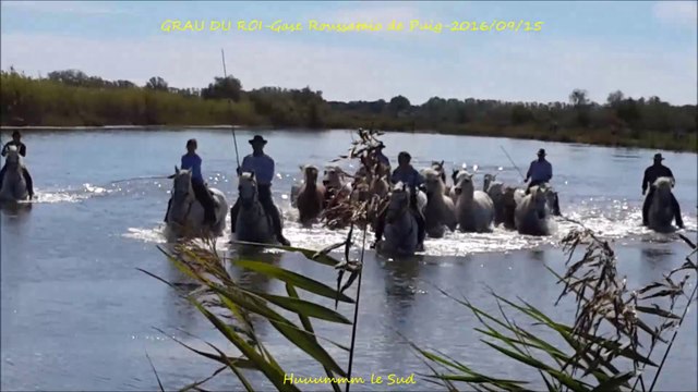 GRAU DU ROI-Gase Roussataio de Puig-2016/09/15-Gaze-gaso