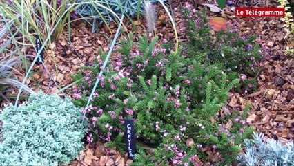 Quimper. Paysage d'automne au salon de l'habitat