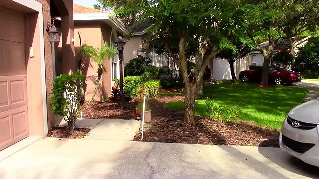 Joker Baby Steals Everyone's Suit! w-_ Frozen Elsa, Spiderman, Snow white, pink spidergirl - YouTube