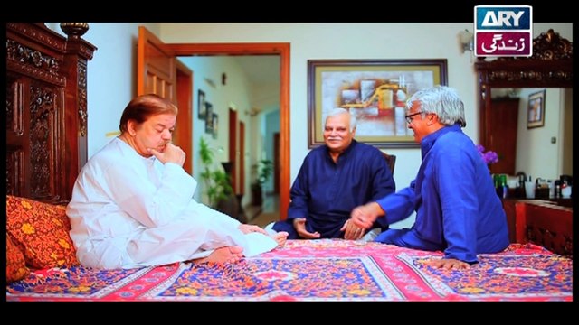 Begunah - Episode - 165 - on Ary Zindagi in High Quality 16th October 2016