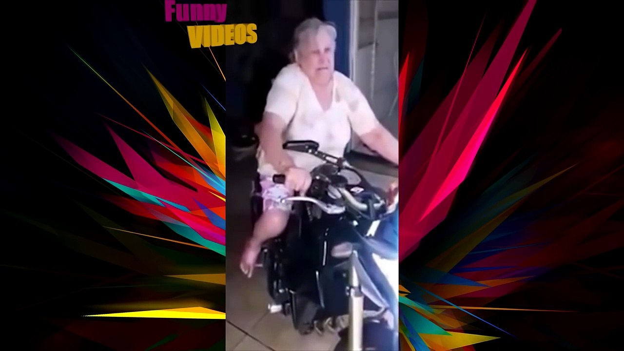 Best funny videos 2016 - Try not to laugh Funny fails 2016 - Dogs 2016