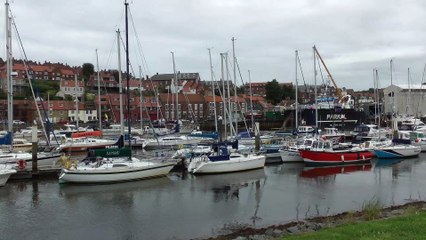 Very Tall Bloke Spotted Tenting In The Middle of Whitby