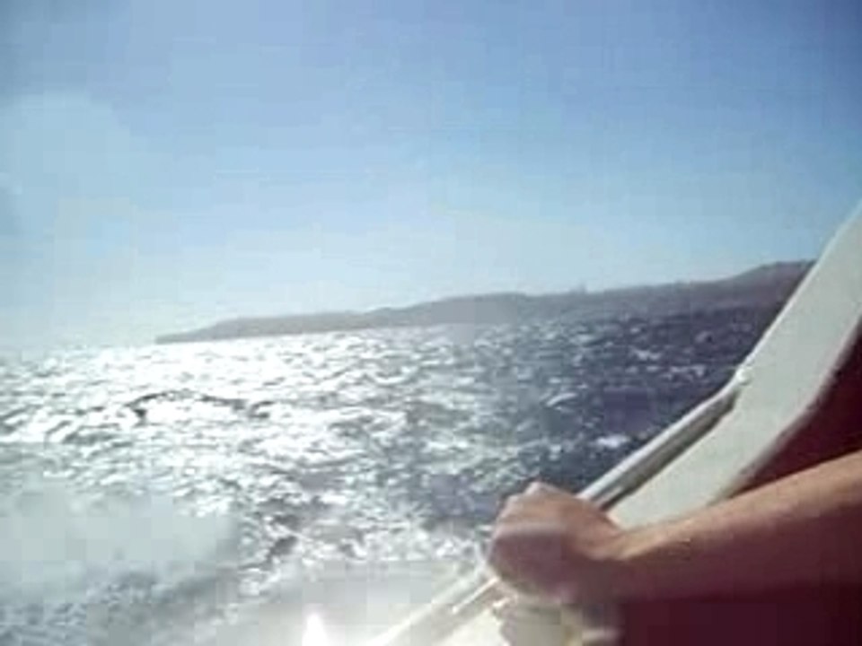 speed boat2