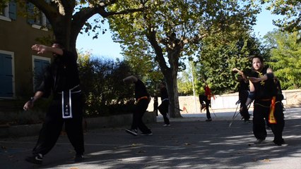 Séminaire Technique National des ceintures de couleur  2016
