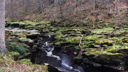 The Most Dangerous Stretch of Water in the World: The Strid at Bolton Abbey, Yorkshire