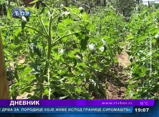 Dnevnik, 16. oktobar 2016. (RTV Bor)