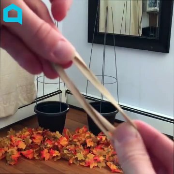 En coupant des cages pour tomates avant de les fixer sur des pots de fleurs, vous voilà avec une décoration d'intérieur