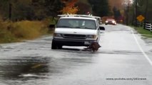 Лосось переплывает дорогу - собака на рыбалке