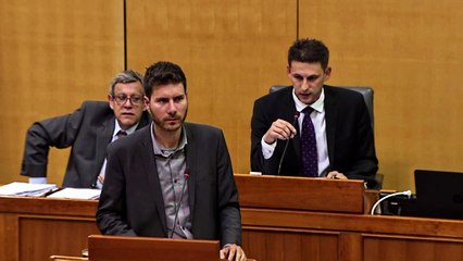 Pernar i Petrov - Životinjska farma
