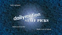 Staff Picks