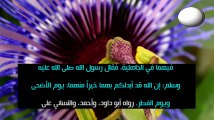 هل يجوز العمل يوم عيد رأس السنة الهجرية ولماذا سمي بفاتح محرم؟