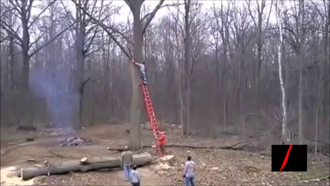 Epic Fail Compilation [NEW] #2