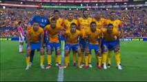 André-Pierre Gignac et les Tigres tombent encore