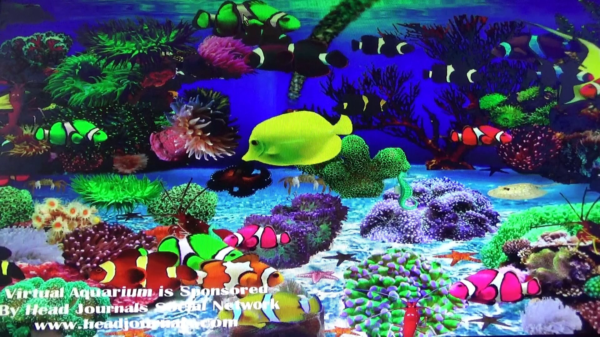 Virtual Aquarium