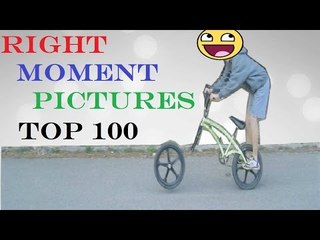 Top 100 Funny Pictures Taken On Right Moment Compilation #01 2016