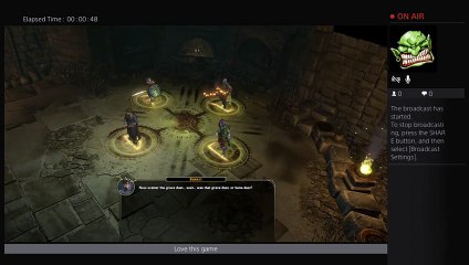 Sword Coast Legends (5)